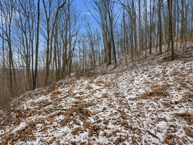 77.09 acres for sale in Ritchie County, West Virginia. Don't - photo 19