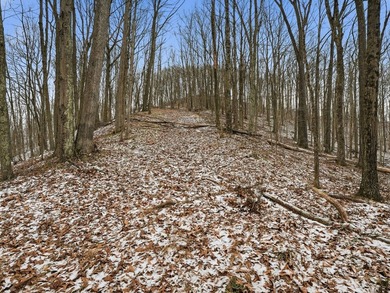 77.09 acres for sale in Ritchie County, West Virginia. Don't - photo 21