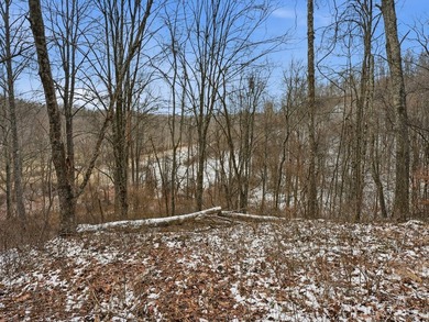 77.09 acres for sale in Ritchie County, West Virginia. Don't - photo 22