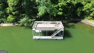 Lake Lot For Sale in Lavonia, Georgia