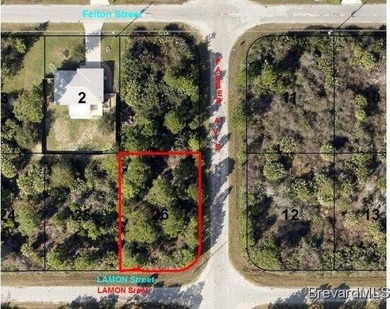 EXCELLENT LOCATION in FAST GROWING AREA OF PALM BAY = ZONED-SRE - photo 3