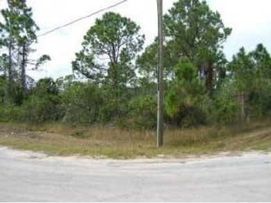EXCELLENT LOCATION in FAST GROWING AREA OF PALM BAY = ZONED-SRE - photo 4