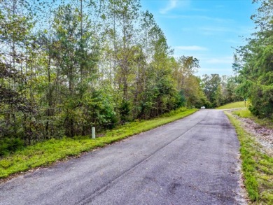 Norris Lake Lot with 112 Ft of Shoreline & Dock Rights - photo 20