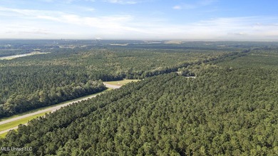 PRIME INDUSTRIAL LAND OPPORTUNITY IN PEARLINGTON, MISSISSIPPI - photo 14
