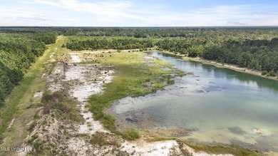 PRIME INDUSTRIAL LAND OPPORTUNITY IN PEARLINGTON, MISSISSIPPI - photo 19