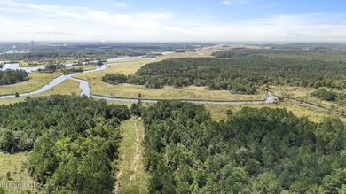 PRIME INDUSTRIAL LAND OPPORTUNITY IN PEARLINGTON, MISSISSIPPI - photo 22