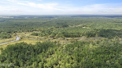 PRIME INDUSTRIAL LAND OPPORTUNITY IN PEARLINGTON, MISSISSIPPI - photo 23