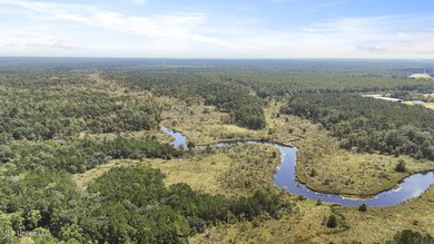 PRIME INDUSTRIAL LAND OPPORTUNITY IN PEARLINGTON, MISSISSIPPI - photo 25