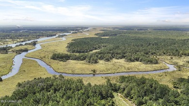 PRIME INDUSTRIAL LAND OPPORTUNITY IN PEARLINGTON, MISSISSIPPI - photo 26