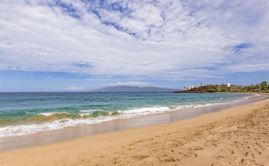 Experience the joy of Maui living in this exquisitely remodeled - photo 28