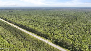 PRIME INDUSTRIAL LAND OPPORTUNITY IN PEARLINGTON, MISSISSIPPI - photo 29