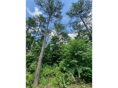 Lake Lot For Sale in Broken Bow, Oklahoma