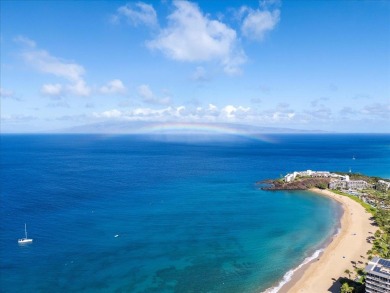 Experience the joy of Maui living in this exquisitely remodeled - photo 41