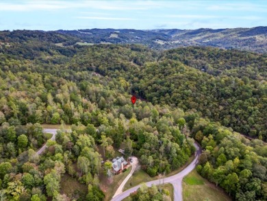 Norris Lake Lot with 112 Ft of Shoreline & Dock Rights - photo 10