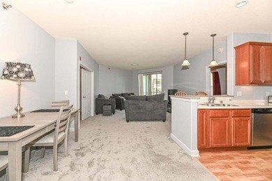 Turnkey 1+ bedroom unit with beautiful Lake Michigan balcony - photo 3