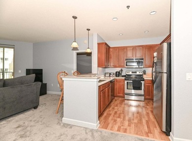 Turnkey 1+ bedroom unit with beautiful Lake Michigan balcony - photo 4