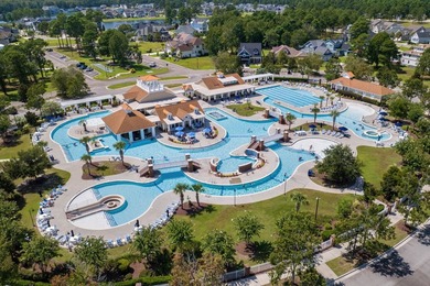 Situated on a large, premium lot that backs up to a private - photo 38