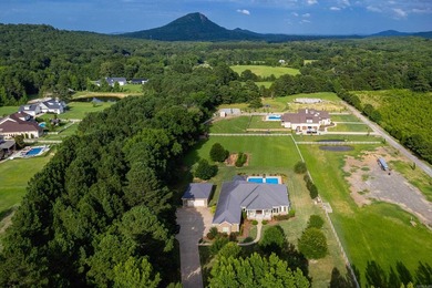 Exceptional custom home on 2+ acres near Pinnacle Mountain State - photo 48