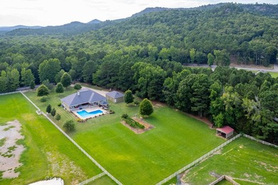Exceptional custom home on 2+ acres near Pinnacle Mountain State - photo 49