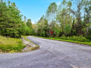 Norris Lake Lot with 112 Ft of Shoreline & Dock Rights - photo 3