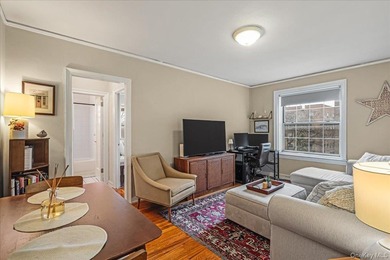 Drenched in Light with South Western Exposures and Oversized