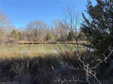 Discover 28 acres of opportunity just outside Keota near - photo 12