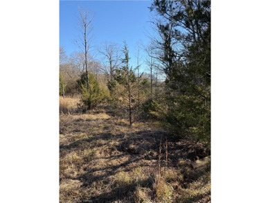 Discover 28 acres of opportunity just outside Keota near - photo 13
