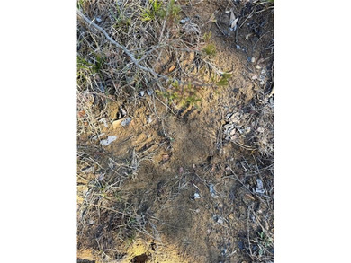 Discover 28 acres of opportunity just outside Keota near - photo 14