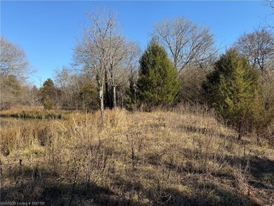 Discover 28 acres of opportunity just outside Keota near - photo 16