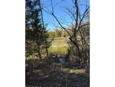 Discover 28 acres of opportunity just outside Keota near - photo 18