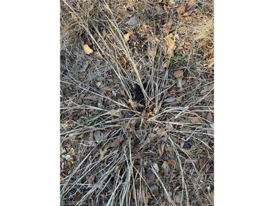 Discover 28 acres of opportunity just outside Keota near - photo 22