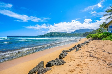 Upgraded Ocean-View Unit at Kauai's premier beachfront getaway - - photo 25