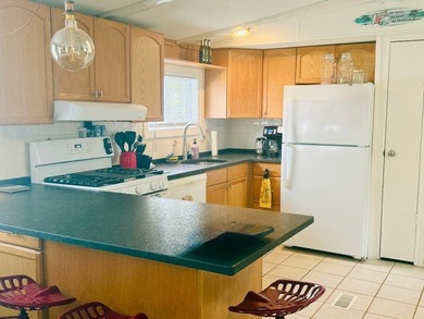 This totally renovated mobile home will be a pleasant surprise - photo 8