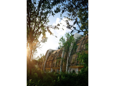 Experience unparalleled luxury at FAENA Tulum, where this