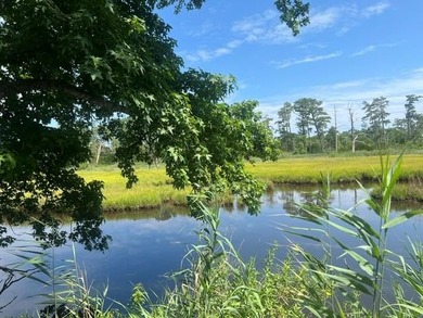 This secluded, creek side property offers the peace and privacy - photo 1