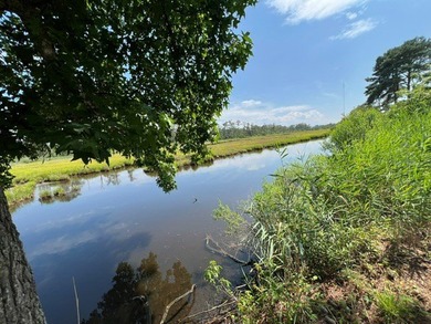 This secluded, creek side property offers the peace and privacy - photo 3