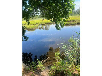 This secluded, creek side property offers the peace and privacy - photo 6