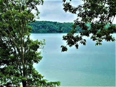 Lake Lot For Sale in Dandridge, Tennessee