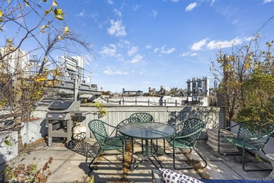 AN ELEGANT, MODERN CARROLL GARDENS GEM W/DREAM ROOFTOP TERRACE - photo 10