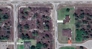 Lehigh Acres Area Lot For Sale in Lehigh Acres Florida