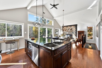 Exceptional property on the banks of the Riviere aux Mulets in - photo 21