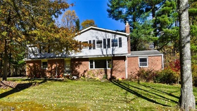 (private lake, pond, creek) Home Sale Pending in Chesterland Ohio