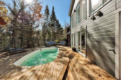 Exceptional property on the banks of the Riviere aux Mulets in - photo 58