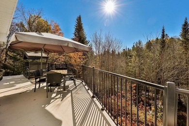 Exceptional property on the banks of the Riviere aux Mulets in - photo 59