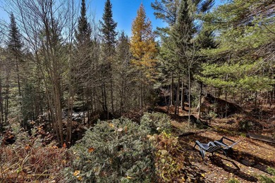 Exceptional property on the banks of the Riviere aux Mulets in - photo 60
