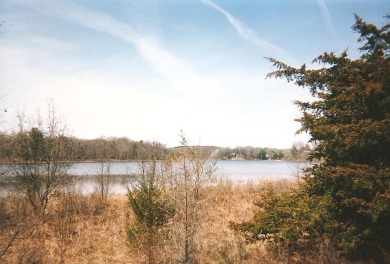 Williams Lake Lot For Sale in Montello Wisconsin