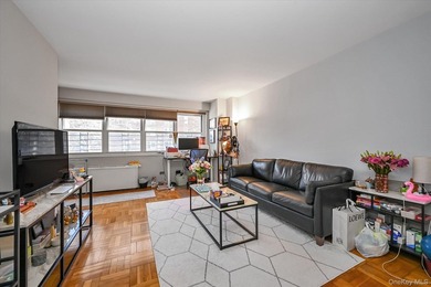 A beautifully renovated JR1/One Bedroom apartment has just - photo 4