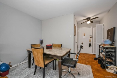 A beautifully renovated JR1/One Bedroom apartment has just - photo 7