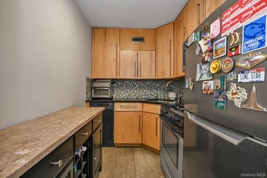 A beautifully renovated JR1/One Bedroom apartment has just - photo 8