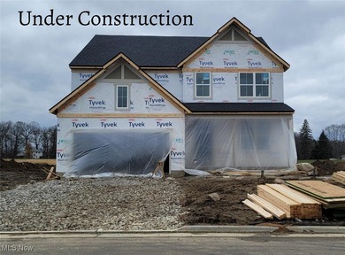 (private lake, pond, creek) Home For Sale in Green Ohio